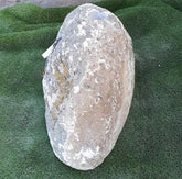 Moss Bubble Rock - 149